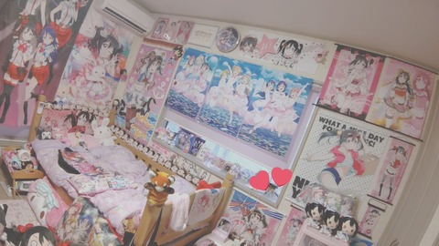 画像 オタクまんさんの部屋が凄すぎる おまいら負けてるぞ 異世界転生まとめ速報