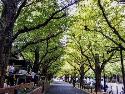IMG_20181026_141442-400x300