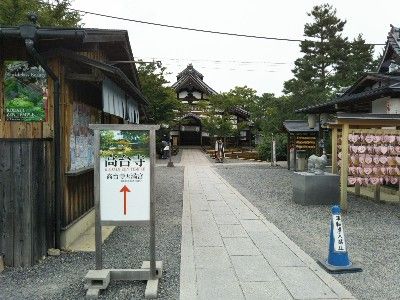 IMG_20180728_091228-400x300