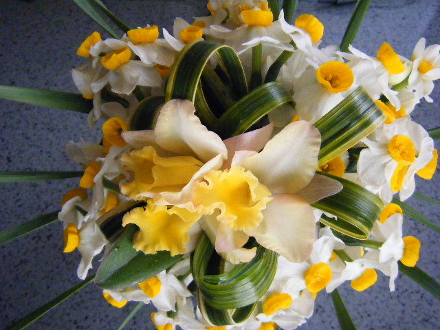 雪中花 Small Talk