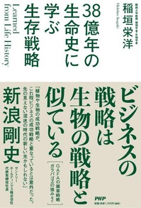 38seizo