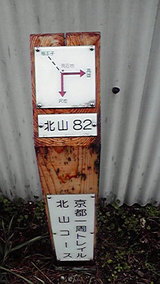 07d70350.jpg