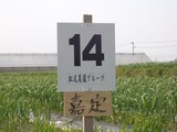 CIMG4657