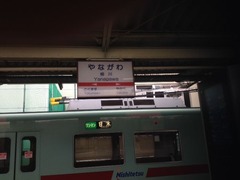 yanagy