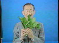 �ۥ������