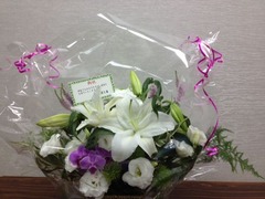 ohan1