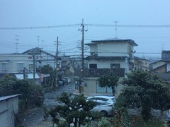 IMG_4084