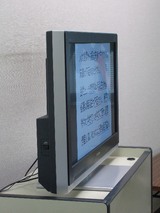 �����ԣ�