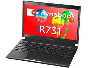 dynab7311