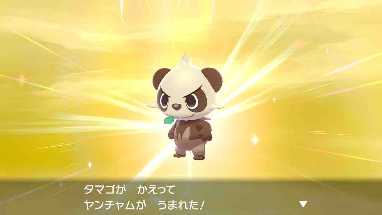 ポケモン剣盾色違い厳選記録 その2 孵化厳選篇 いさみの雑多部屋