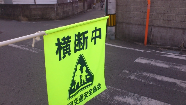 081ba312.jpg