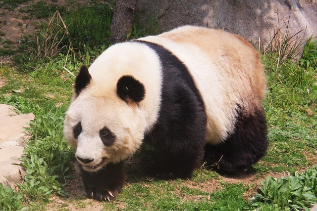 b3a1c137.jpg