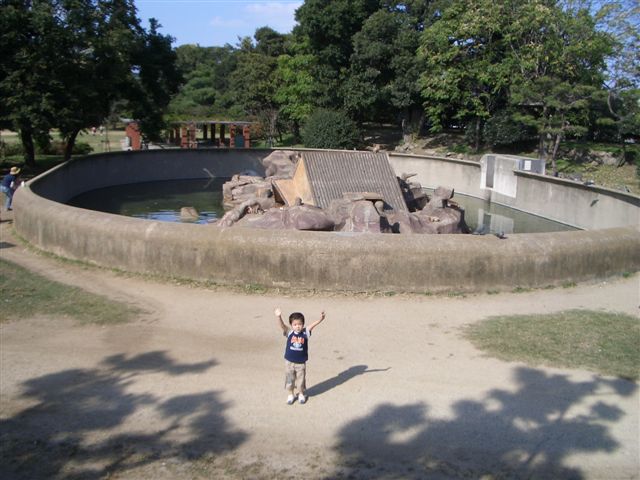 大浜公園 猿がいる公園 子供と遊ぼう