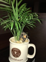 017cbf52d551b2167232ba924feeb817f5258e7103