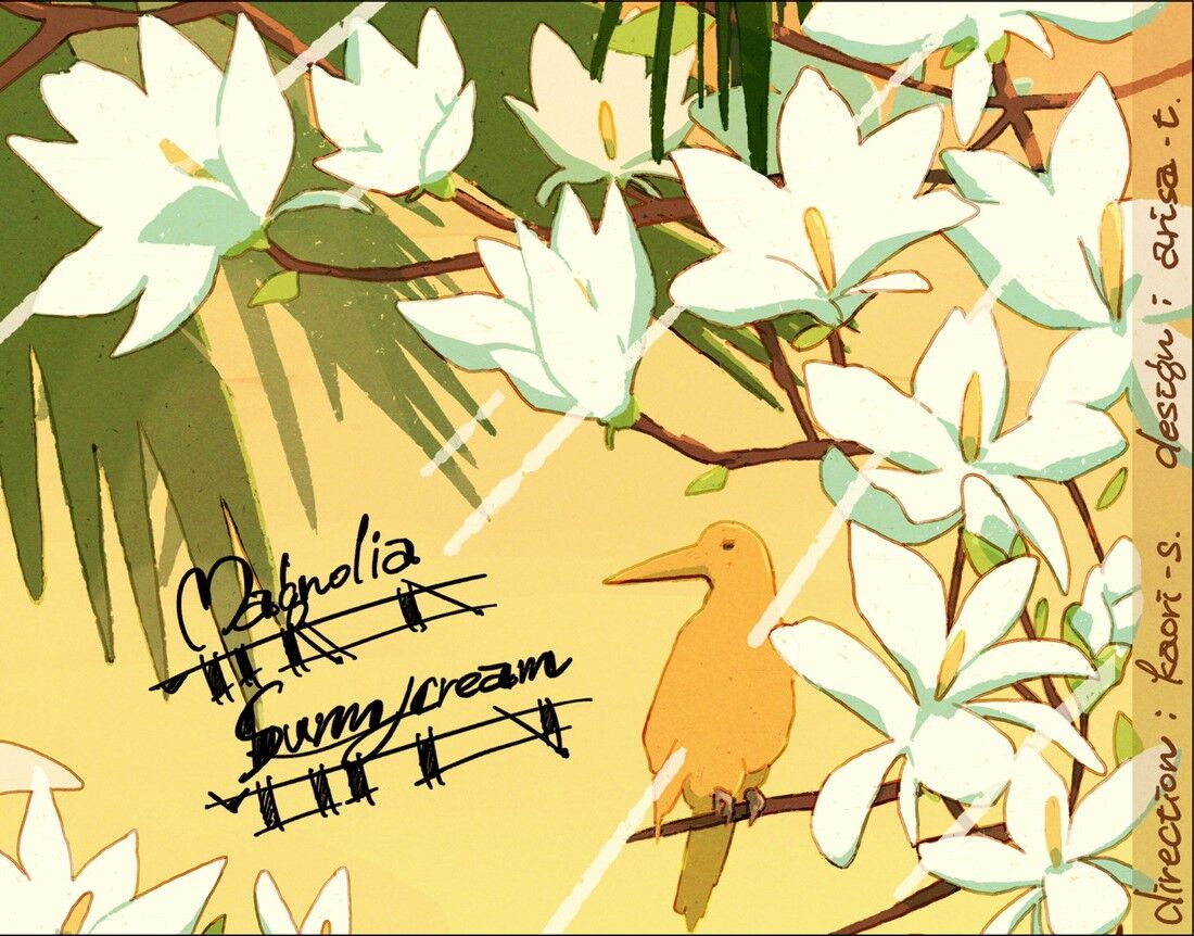 予告／【芋焼酎】国分酒造「マグノリア サニークリーム(magnolia sunny
