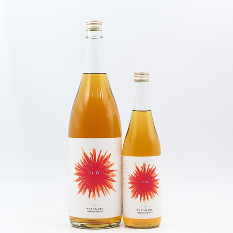 【スピリッツ】「WATANABE infusion spirits ヒダマ」入荷致しました！