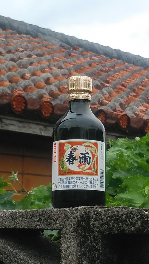 【泡盛】「春雨79％」入荷しました！