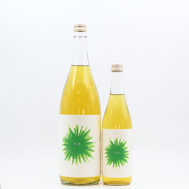 スピリッツ】「WATANABE infusion shochu ヒダマグリーン」入荷致し