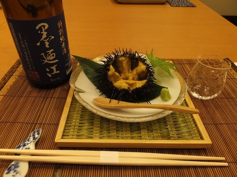 特純とウニ