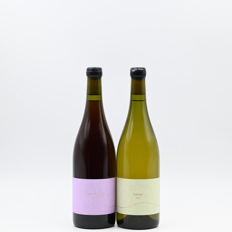 日本ワイン】torocco winery「Kerner 2023」「Pinot Noir 2023