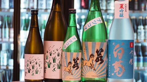 日本酒「春霞」「若駒」「大典白菊」 ＃日本酒 ＃春霞 ＃若駒 ＃大典白菊 ＃伊勢五本店