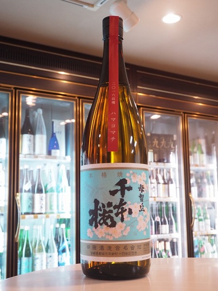 焼酎「千本桜」ハマコマチを使った新商品　入荷しました