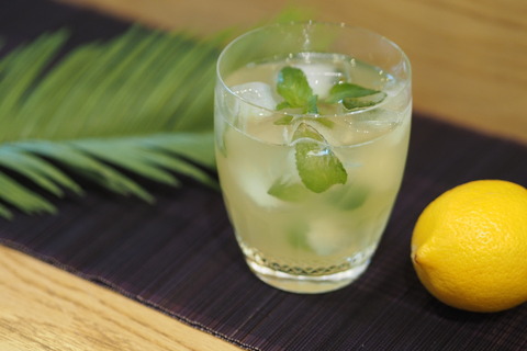 【焼酎】初夏に楽しみたい焼酎炭酸割り♪