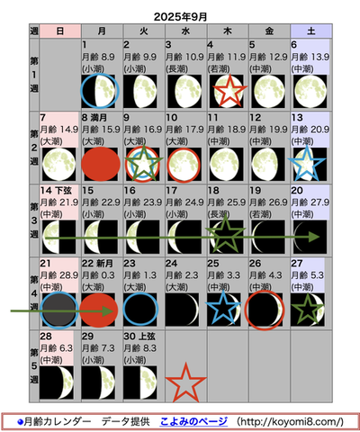 スクリーンショット 2025-08-30 11.51.38