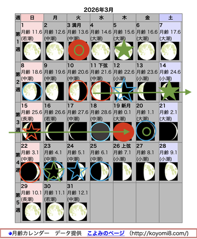 スクリーンショット 2026-02-28 11.14.43