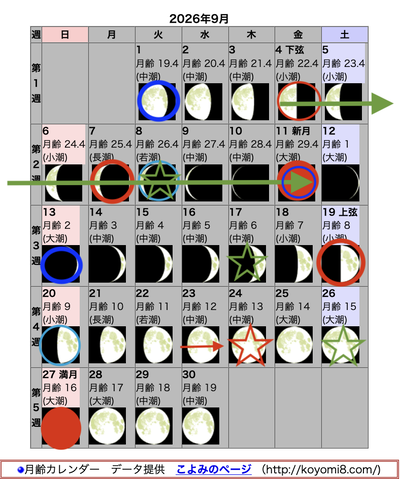 スクリーンショット 2026-08-31 12.00.15