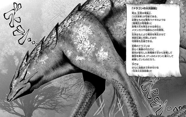 ふかふかダンジョン攻略記