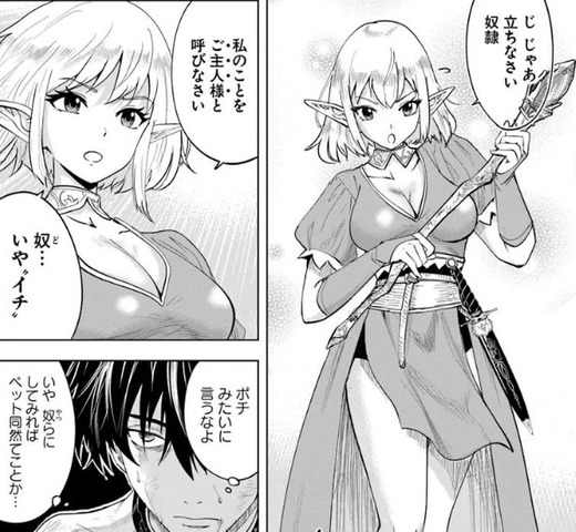 異世界で淫魔師ハレム