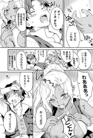 惚れ症のハーフエルフさんのエロシーン、乳首