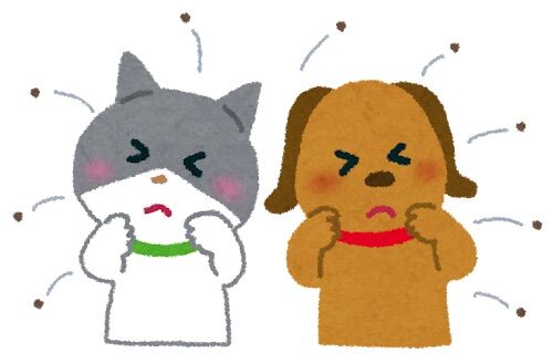 大阪市立幼稚園でノミが大量発生し臨時休園 侵入したイタチから飛び散ったか