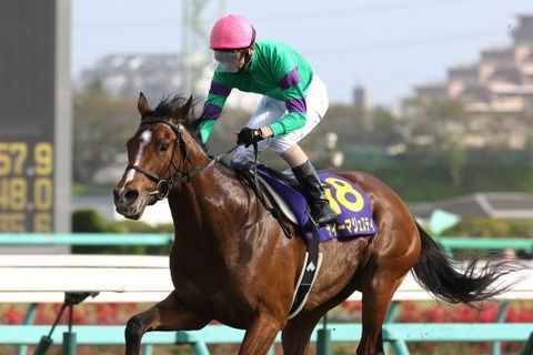 【競馬】ディーマジェスディが蛯名正義鞍上で天皇賞春（GⅠ）へ！