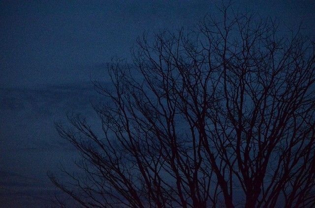 【悲報】川に落ちる・・・・・・(※画像あり)