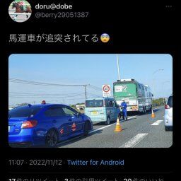 馬運車、追突される