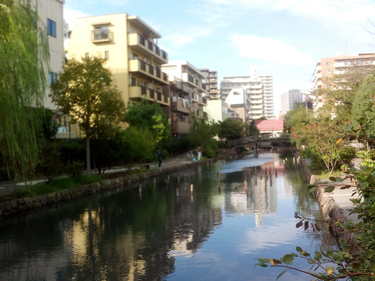 木場駅近くの公園に釣りに来てみたぞ（※画像あり）