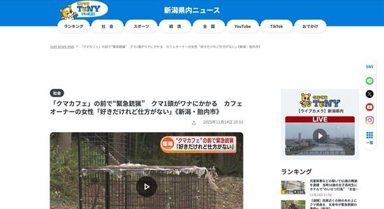 【新潟】クマカフェにクマ出現、緊急銃猟で駆除