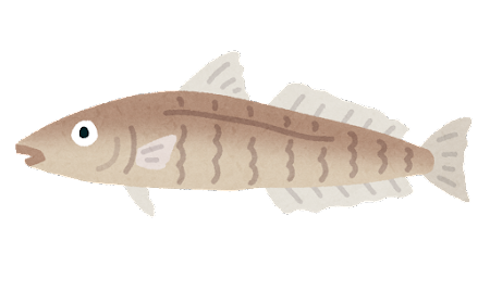 【朗報】37歳こどおじ僕、釣りにハマってしまうｗｗｗｗｗｗｗｗｗｗｗｗ