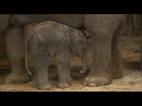 【48枚】今日から2月だよGIF画像スレ