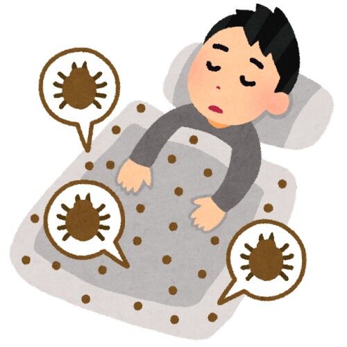 ダニとかじゃないんだけど布団ってずっと使ってると入った時に体痒くなってこない?