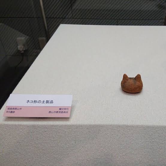 【画像】縄文時代にも猫って居たのか？
