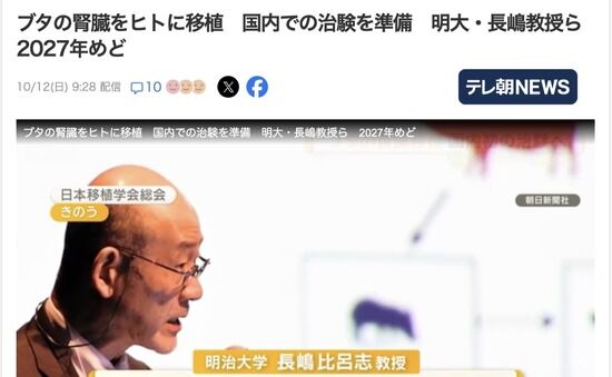 【明治大学】ブタの腎臓をヒトに移植　国内で治験へ