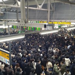 海外「日本だけは敵に回すな」 カオスの中でも秩序を保つ日本人の姿に世界から称賛が殺到