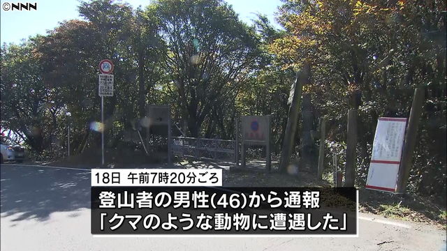 絶滅のはずが…九州でクマのような動物の目撃相次ぐ