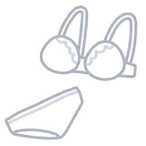 ペットカメラを確認　→　下着を漁る同僚の姿が