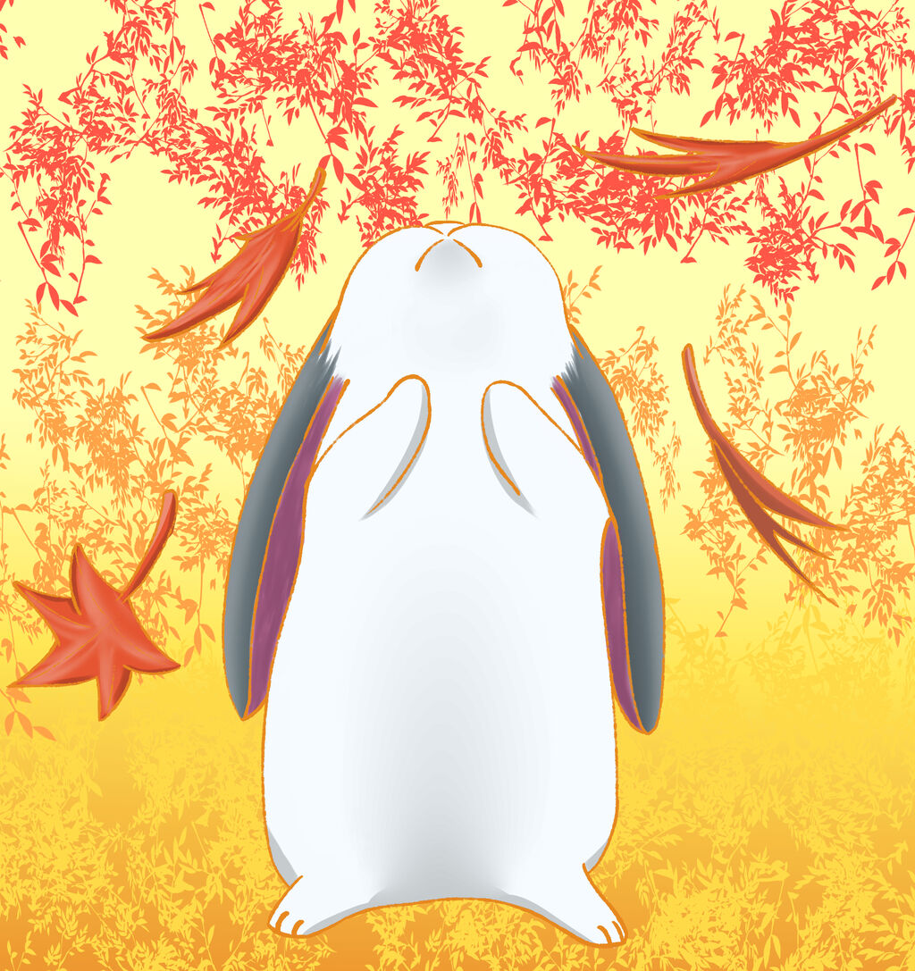 年11月 毎日うさぎの気まぐれ たぶん毎日更新 年11月 毎日うさぎの気まぐれ たぶん毎日更新