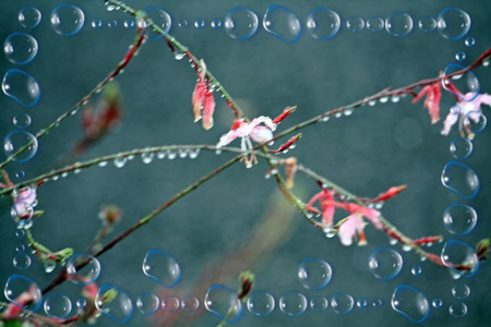 IMG_3812�ʣӡˤΥ��ԡ�