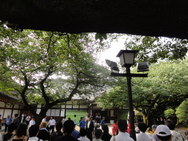 ë�����ۤ��Ԥġ�